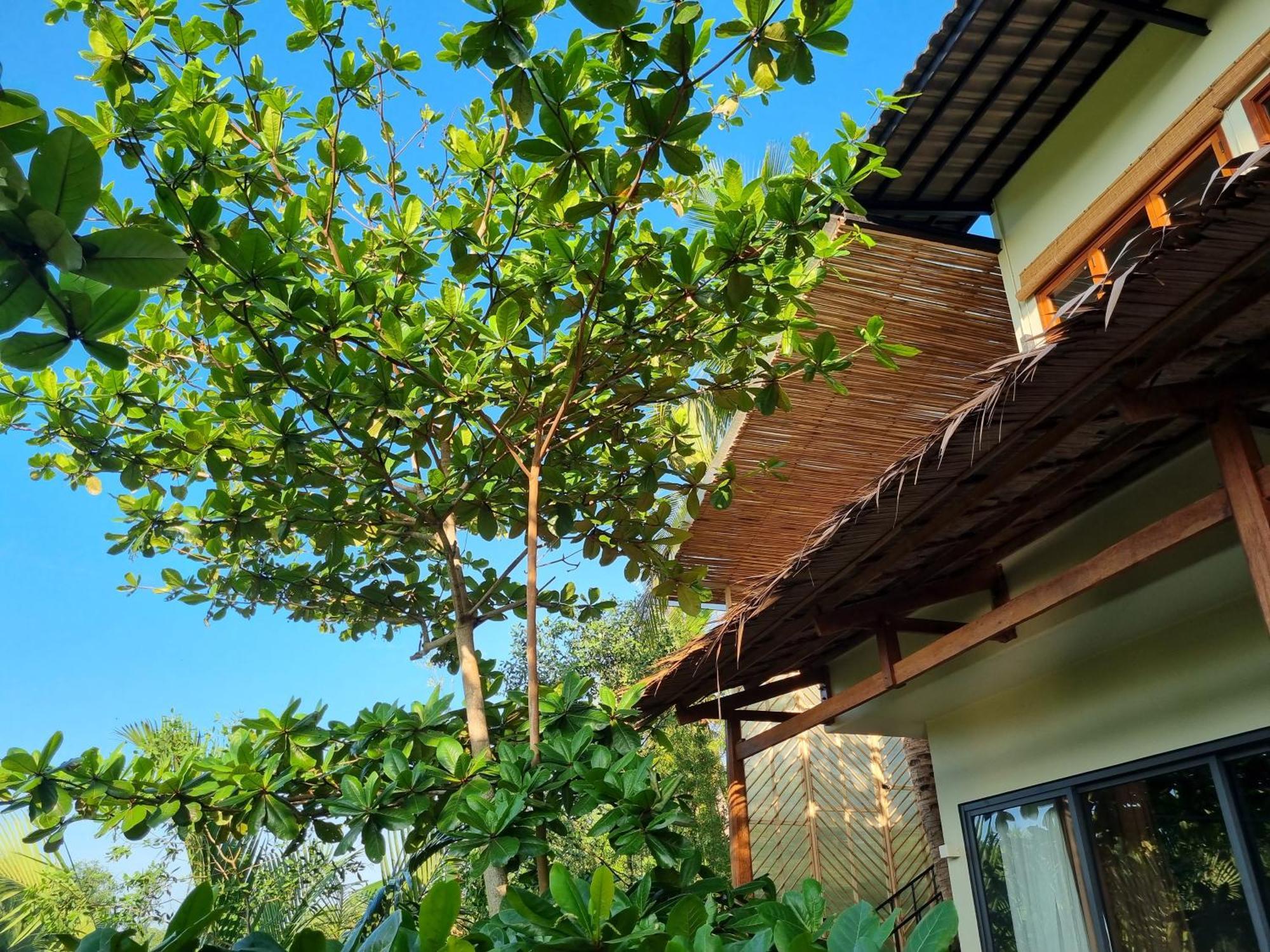 Innerzen Riverside Homestay Ben Tre - Japanese Style מראה חיצוני תמונה